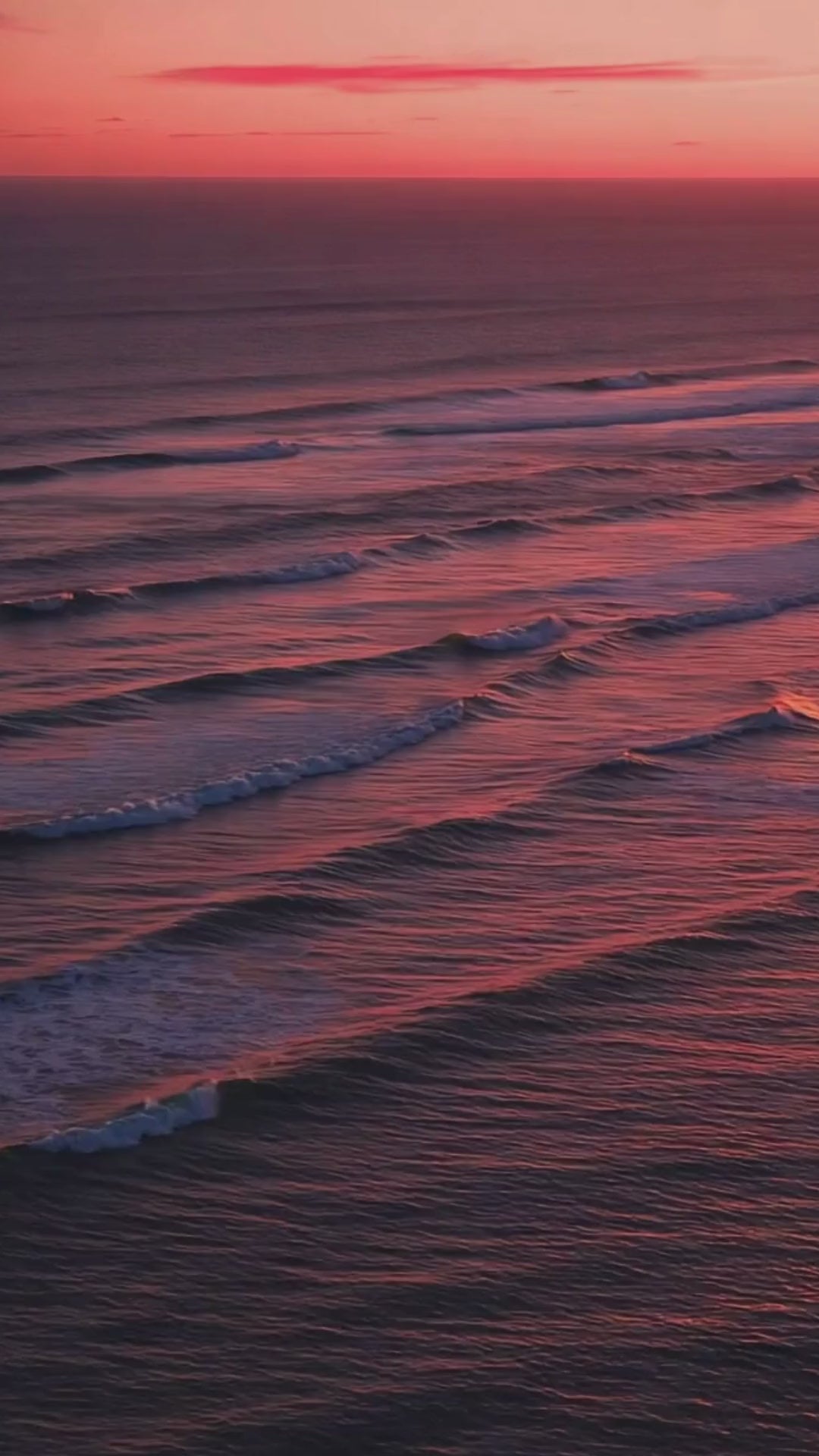 Charger la vidéo : 